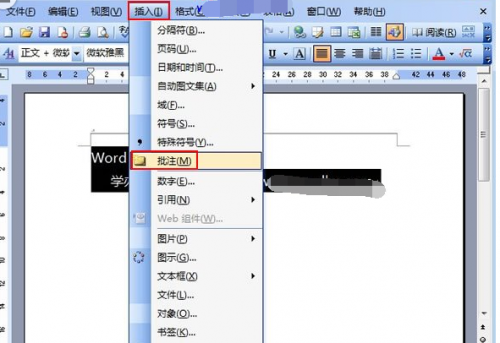 word2003插入批注